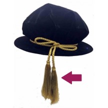 Graduation tassel - potential